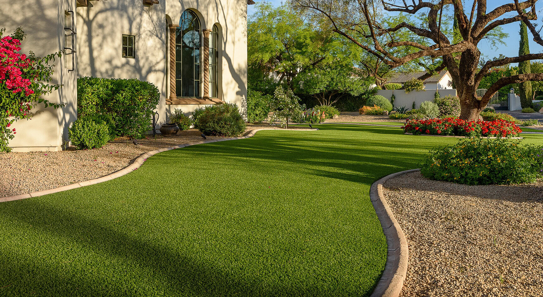 Manicured lawn with mature shade tree and flowering beds at a North Phoenix home