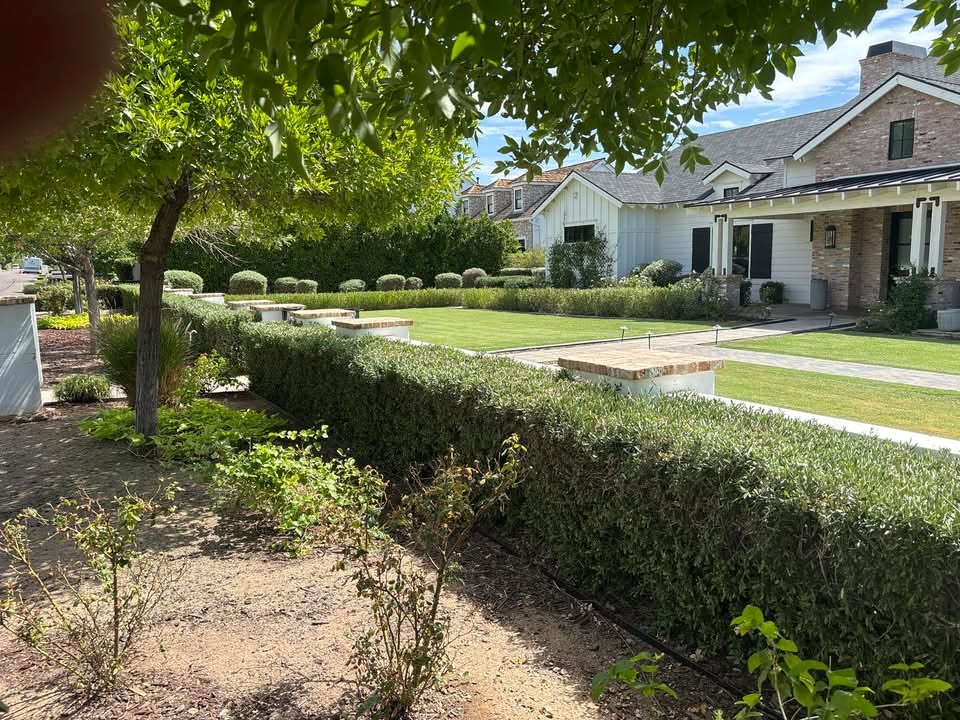 Trimmed hedges lining a manicured lawn at an upscale residential property